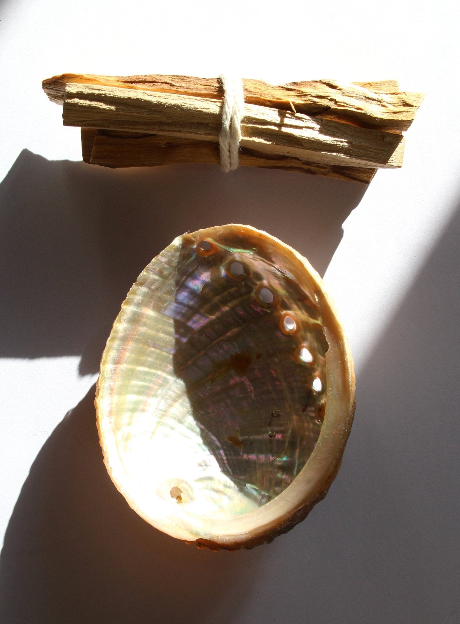 cleansing abalone and palo santo kit by llayers