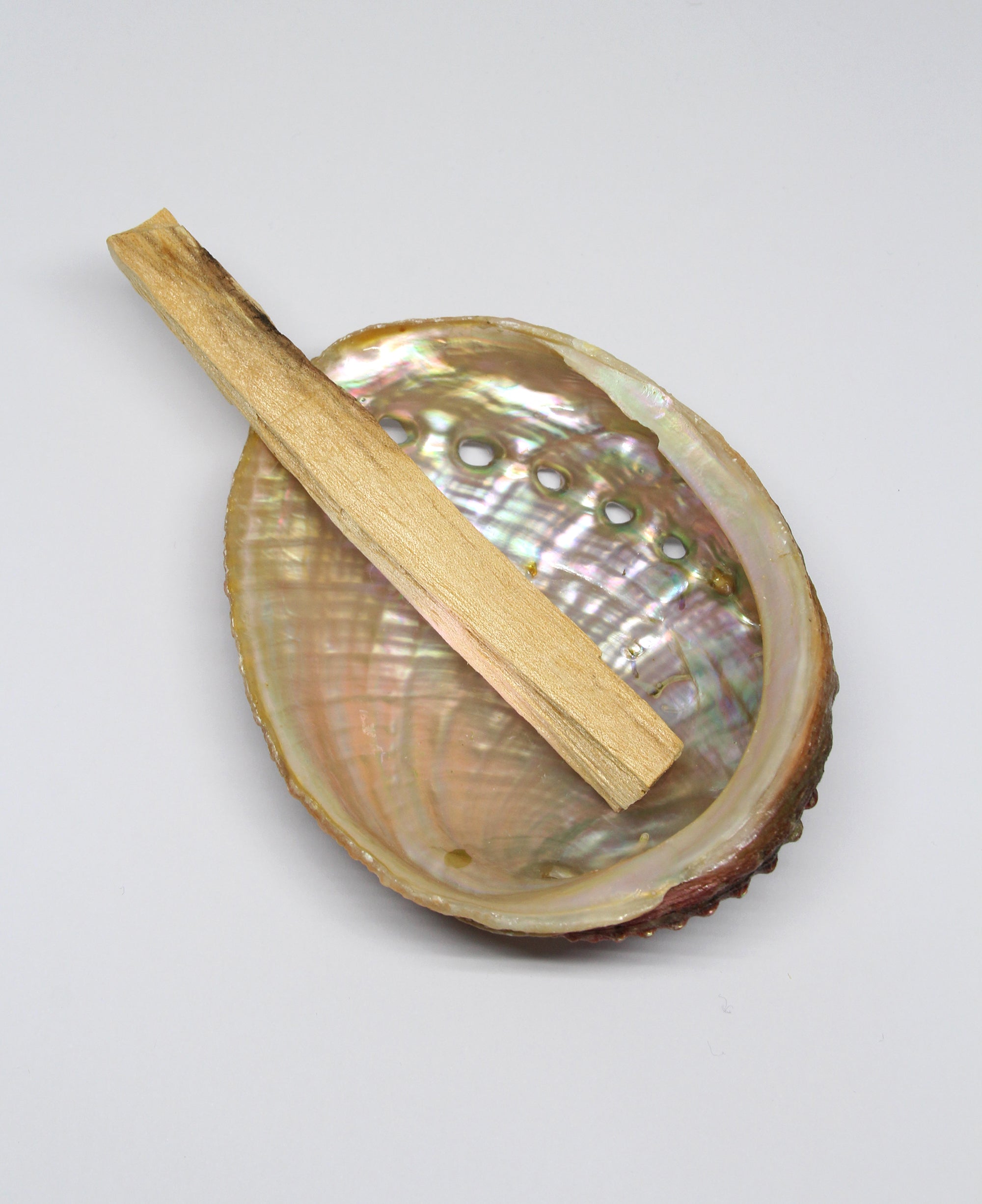 Coquille d'ormeau abalone chamane et palo santo rituels